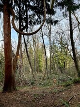 3950 96th Ave SE, Unit North Mercer Hideaway in Mercer Island, WA - Building Photo - Building Photo