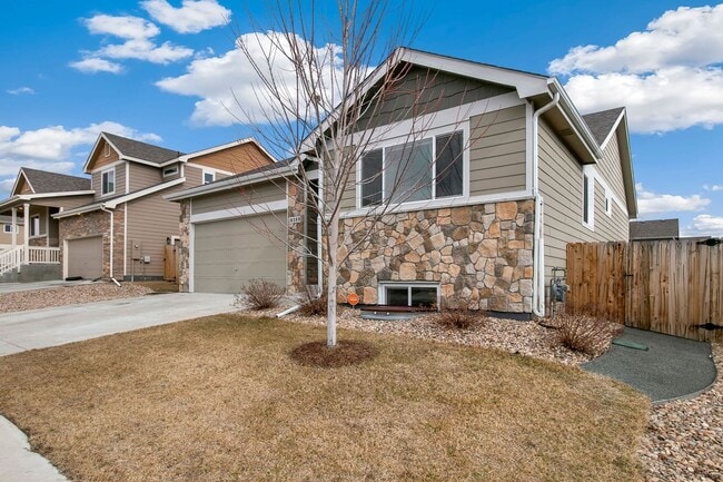 6388 Black Hills Ave in Loveland, CO - Building Photo - Building Photo