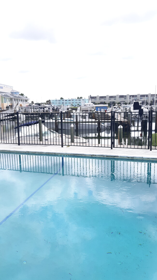 2517 Gary Cir in Dunedin, FL - Building Photo - Building Photo