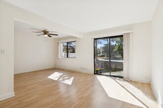749 Lakeview Point in Schaumburg, IL - Building Photo - Building Photo