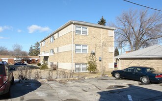 10225 Chestnut Ave in Franklin Park, IL - Building Photo