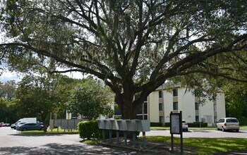 3188 Lake Pine Way S in Tarpon Springs, FL - Building Photo - Building Photo