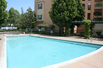1310 Saddle Rack St, Unit 3BDR in San Jose, CA - Foto de edificio - Building Photo