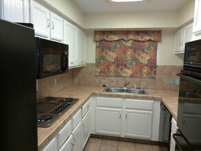 10217 Beekman Pl Dr in Houston, TX - Building Photo - Building Photo