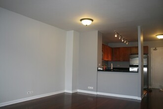 222 E Pearson St in Chicago, IL - Building Photo - Building Photo