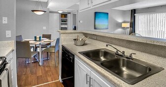 Courtney Cove Apartment Homes in Tampa, FL - Building Photo