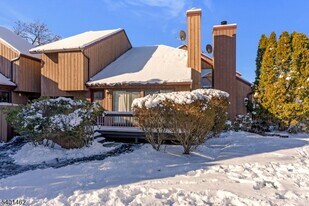 117 Bluebird Dr in Hillsborough Township, NJ - Building Photo