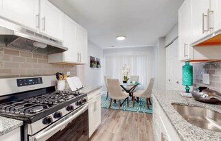 14163 Castle Blvd in Silver Spring, MD - Building Photo