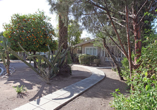 Hinchcliffe Court in Tucson, AZ - Foto de edificio - Building Photo