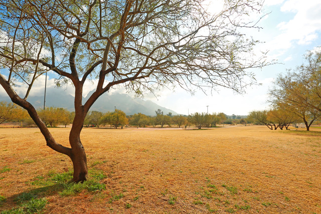 Casas Alquiler en Outer Oro Valley Catalina, AZ