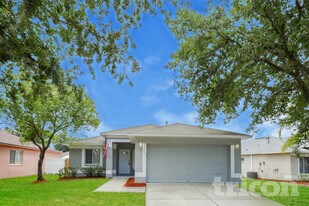 3013 Summer House Dr in Valrico, FL - Building Photo