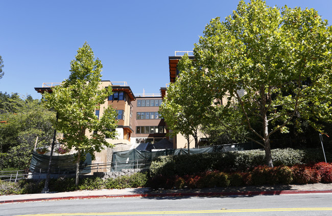 Monteverde Senior Apartments in Orinda, CA - Building Photo - Building Photo