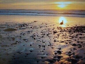 775 Neptune Ave, Unit A in Encinitas, CA - Building Photo - Building Photo