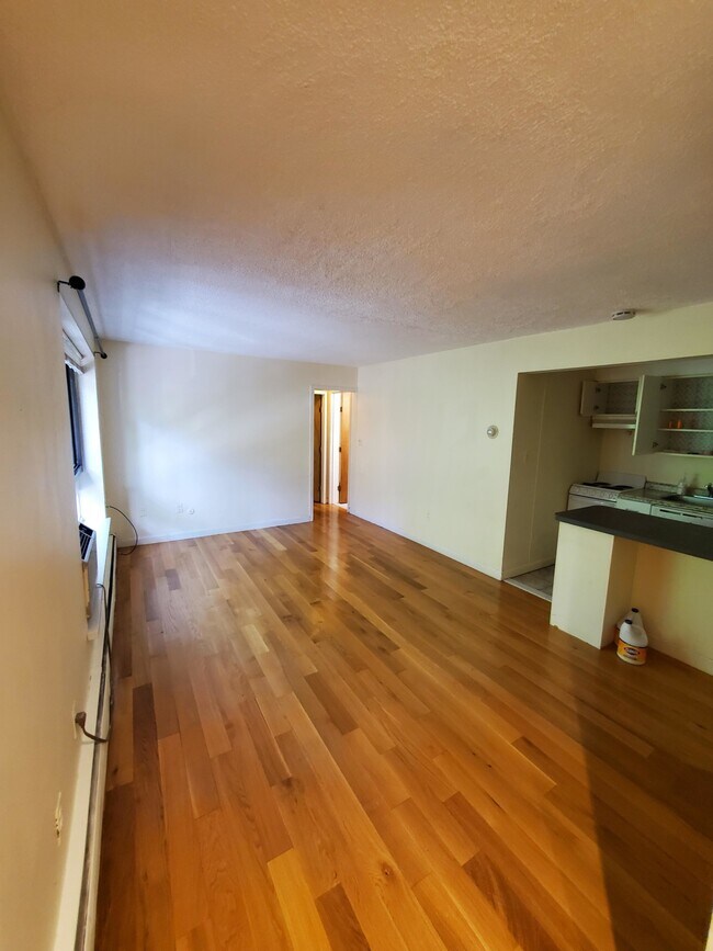 85 Trowbridge St, Unit 22 in Cambridge, MA - Building Photo - Building Photo