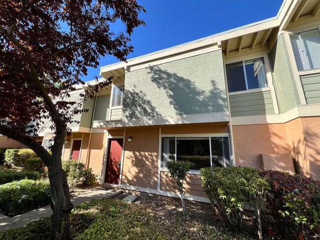 1571 Drake Dr in Davis, CA - Building Photo - Building Photo