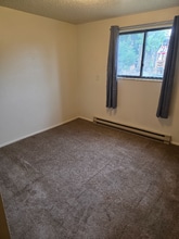 840 Stone Mountain Ct in Windsor, CO - Foto de edificio - Building Photo