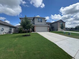 222 Grey Woodpecker in San Antonio, TX - Building Photo