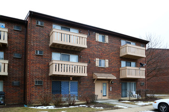 1125 Dickens Way in Schaumburg, IL - Foto de edificio - Building Photo