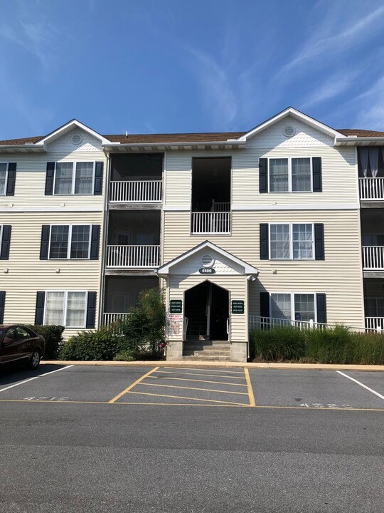 4500 Sandpiper Dr in Rehoboth Beach, DE - Foto de edificio