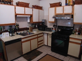 223 Green St, Unit 2 in Cambridge, MA - Foto de edificio - Building Photo
