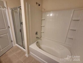 15248 Wrights Crossing Dr in Charlotte, NC - Building Photo - Building Photo