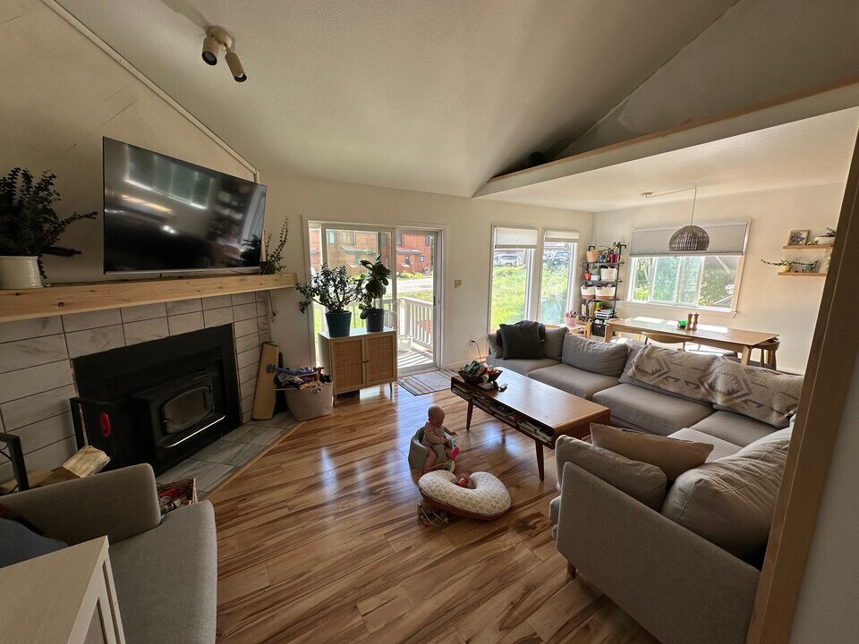 335 N Chipmunk Cir in Silverthorne, CO - Building Photo
