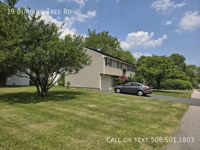 19 Burning Tree Rd in Natick, MA - Building Photo - Building Photo