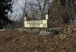 Miramonte Forest in Asheville, NC - Building Photo - Building Photo