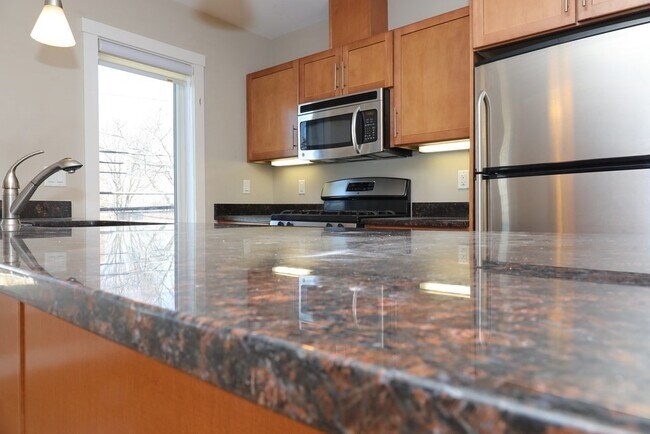 54 Bay State Rd in Cambridge, MA - Building Photo - Building Photo