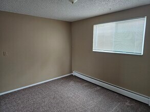 1155 Chiricahua Loop in Colorado Springs, CO - Building Photo - Building Photo