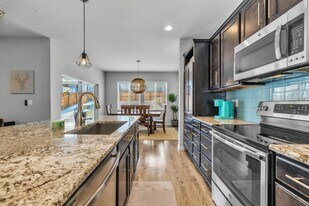 14217 Touchstone Point in Parker, CO - Building Photo