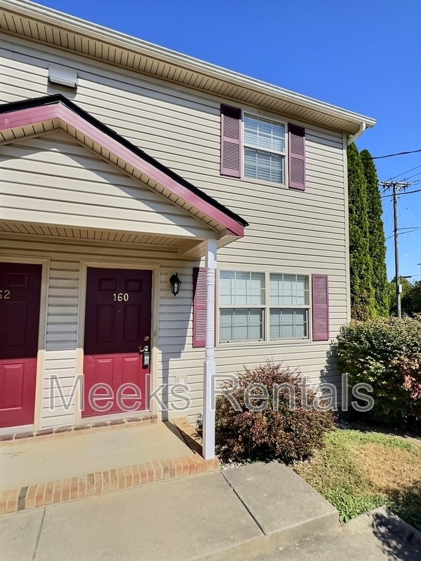 property at 160 Mt Vernon Ln