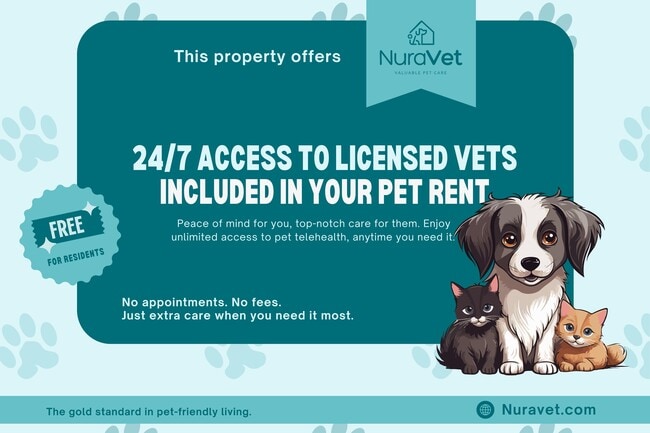 Haven at City Center Apartments in Newport News, VA - Building Photo - Building Photo