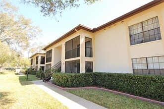 3400 Crystal Ct W in Palm Harbor, FL - Building Photo - Building Photo