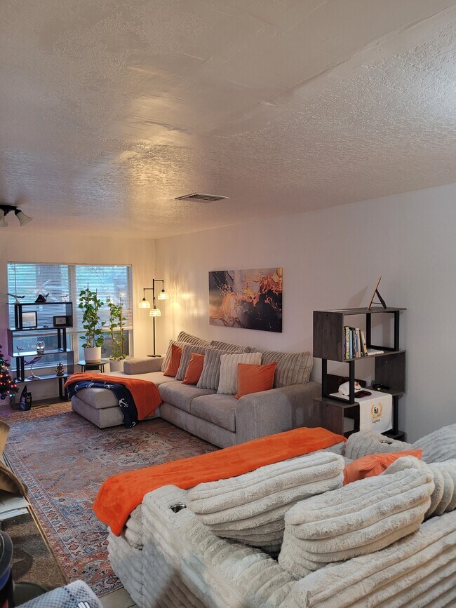 5309 Aloha Seed Dr in Seffner, FL - Foto de edificio - Building Photo