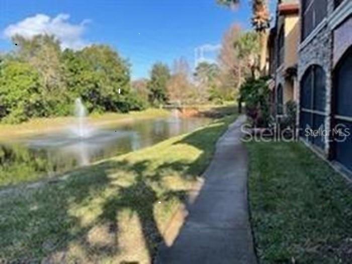 2138 Chianti Pl in Palm Harbor, FL - Building Photo