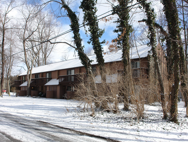 429 Irma Ave in Kent, OH - Foto de edificio - Building Photo