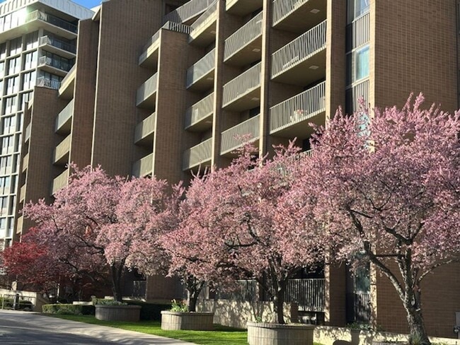 245 N Vine St in Salt Lake City, UT - Building Photo - Building Photo