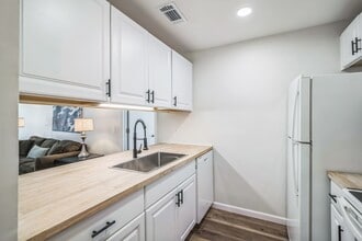 3800 SW 20th Ave in Gainesville, FL - Building Photo - Building Photo