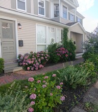 68 South St in Hingham, MA - Building Photo - Building Photo