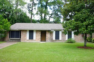 6310 French Chateau Dr in Houston, TX - Building Photo