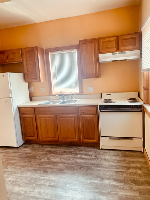 382 Chestnut St in Oneonta, NY - Building Photo - Building Photo