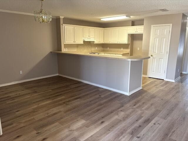1306 Avenue F in Shallowater, TX - Building Photo - Building Photo