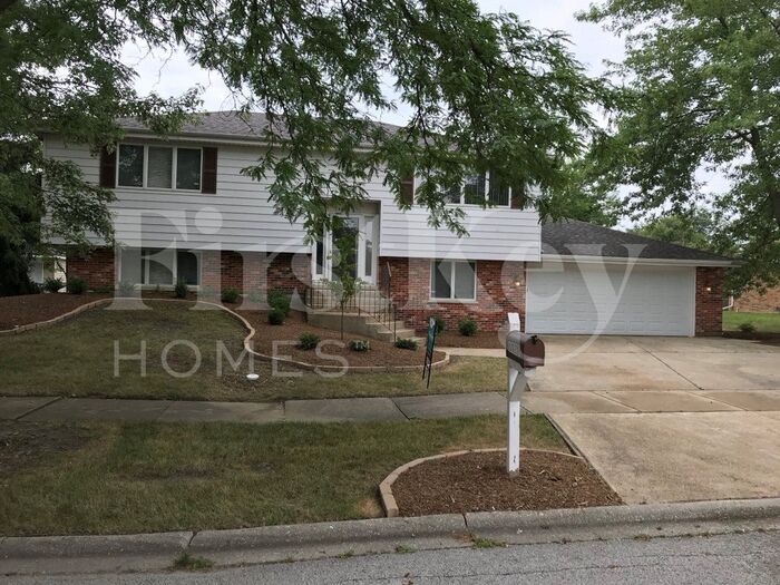 6029 Spring Ln in Matteson, IL - Building Photo