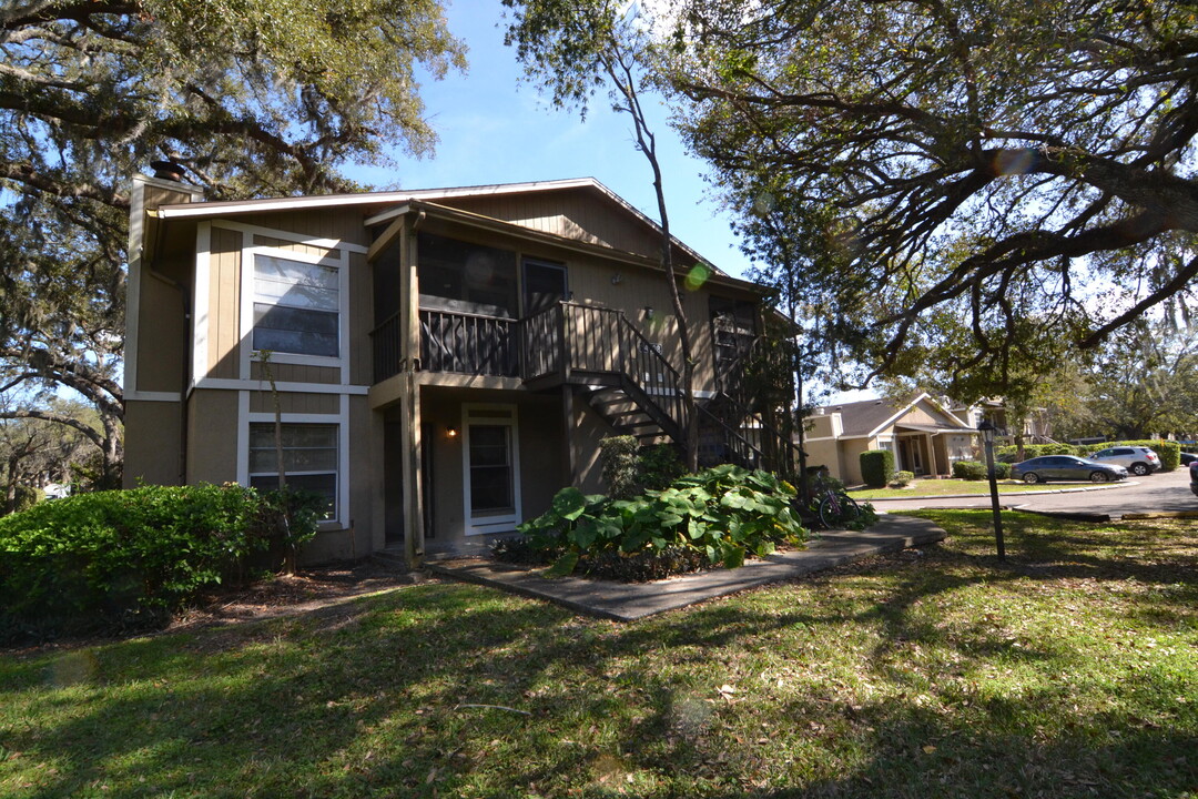 14308 Hanging Moss Cir in Tampa, FL - Building Photo