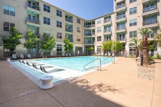 Tree in Austin, TX - Foto de edificio - Building Photo