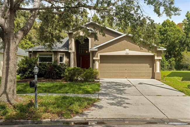 10462 Lucaya Dr in Tampa, FL - Building Photo - Building Photo