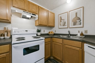 Champlin Drive & Elmcreek in Champlin, MN - Foto de edificio - Building Photo