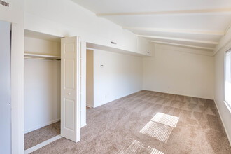 The Forum Apartments in Mt. Pleasant, MI - Building Photo - Interior Photo