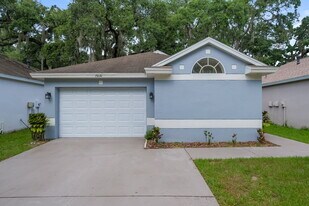15110 Deer Meadow Dr in Lutz, FL - Building Photo